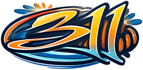 Logo 311